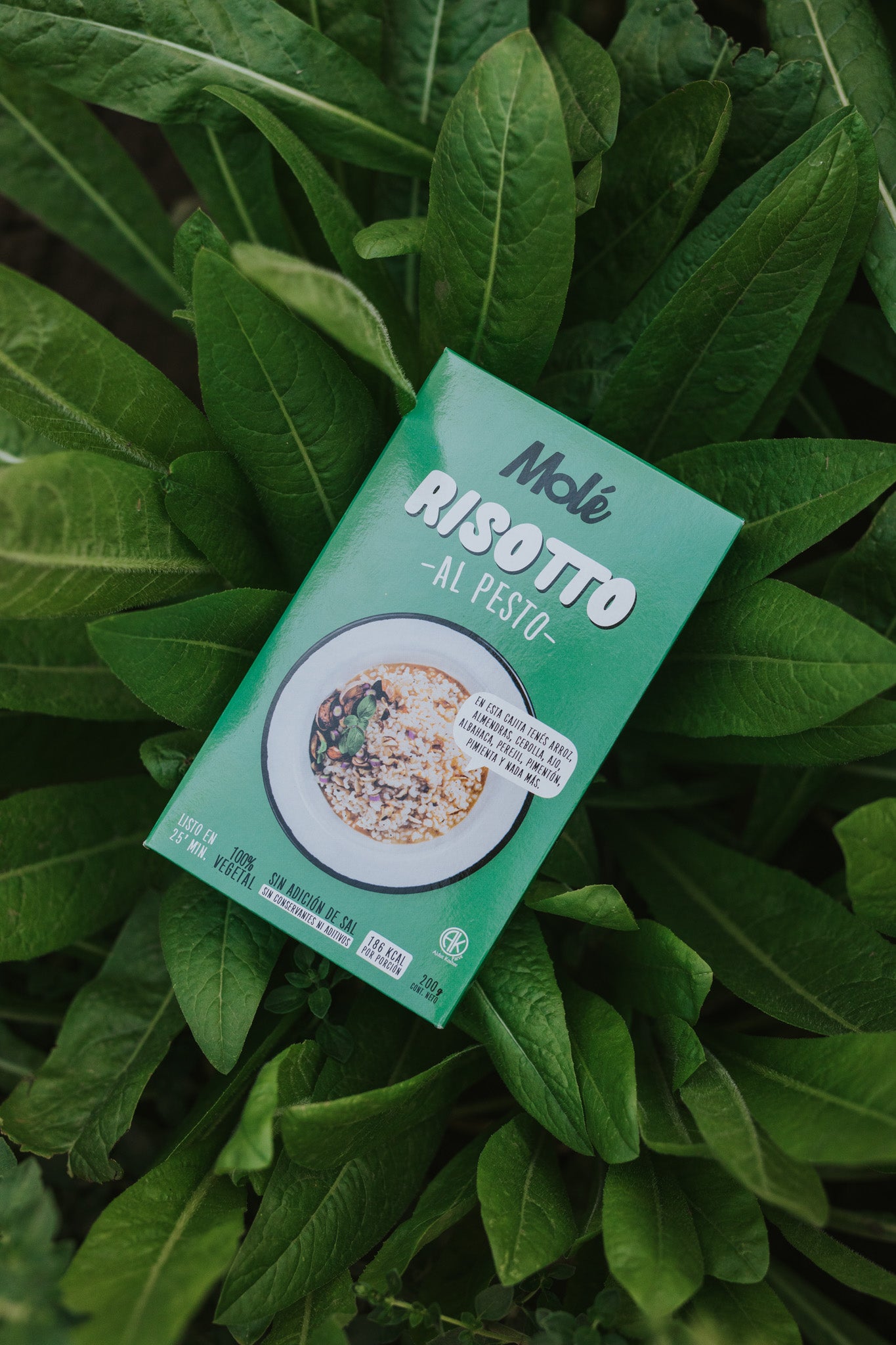 MOLÉ RISOTTO AL PESTO VEGANO SIN GLUTEN 200g vencimiento 03/12/2025