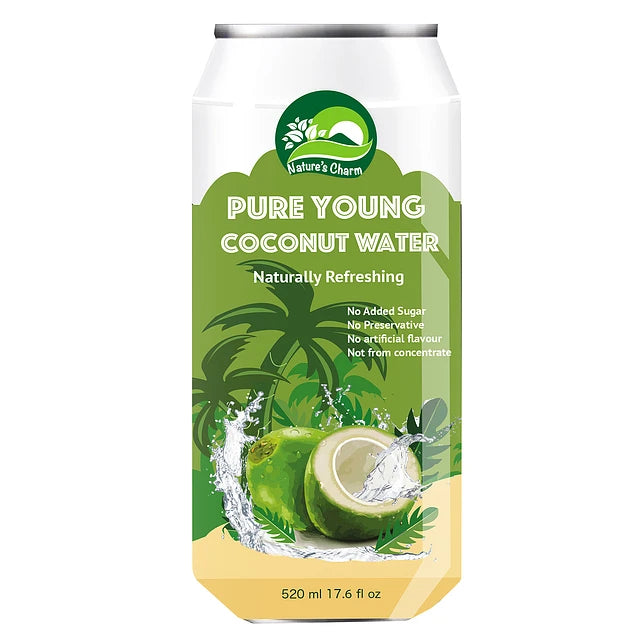 BEBIDA DE COCO 100% NATURAL 520ML