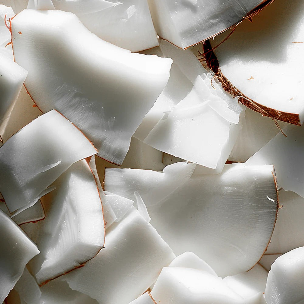 FITSPO BARRA DE PROTEINA COCONUT 60G SIN AZUCAR AÑADIDA